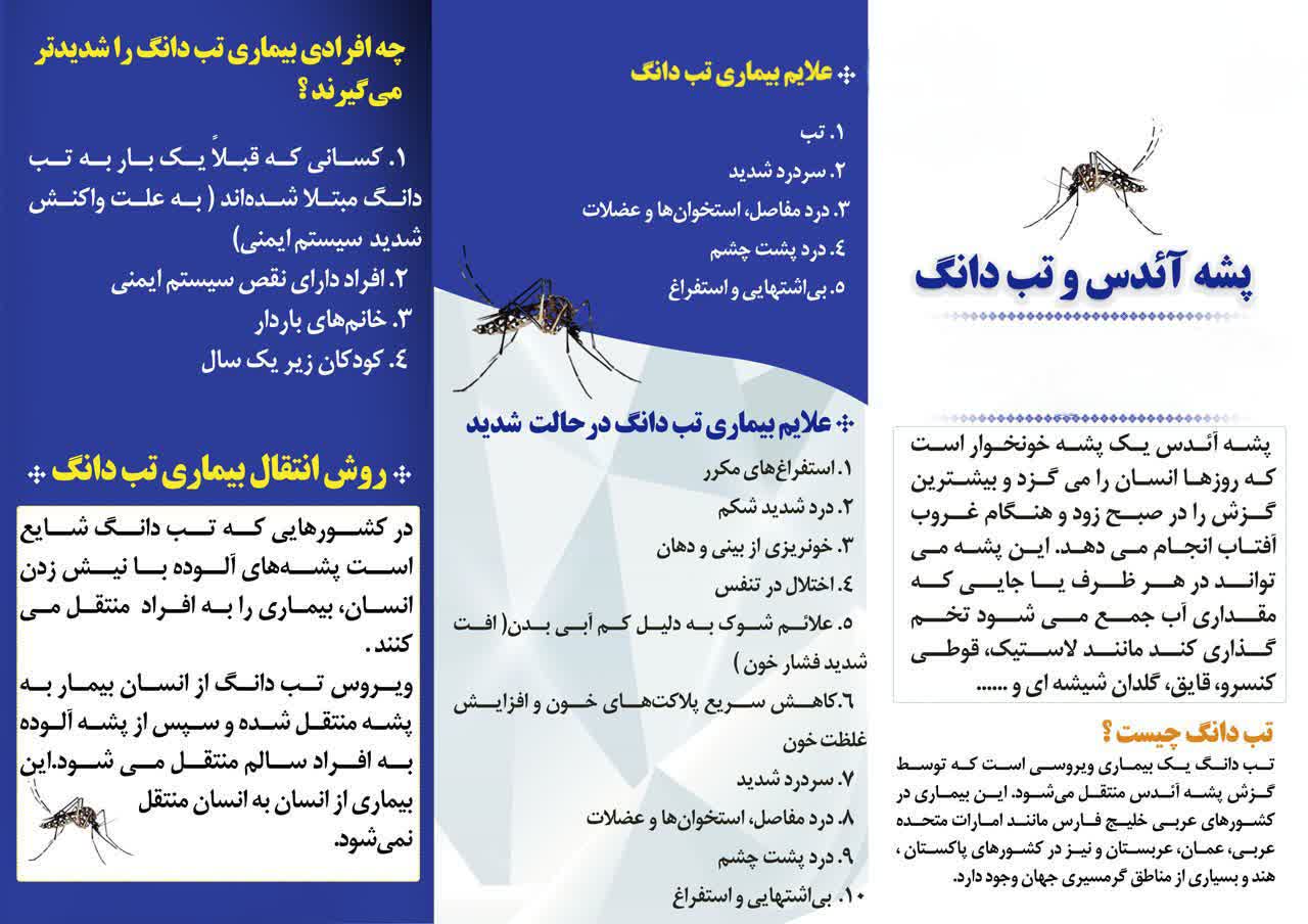 پشه آئدس و تب دانگ