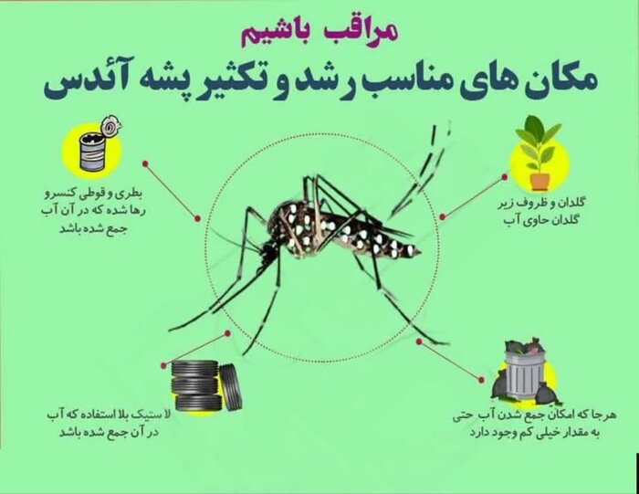 مکان های رشد و تکثیر پشه آئدس